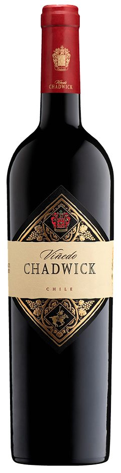 Vinedo Chadwick 2022 0,75 L