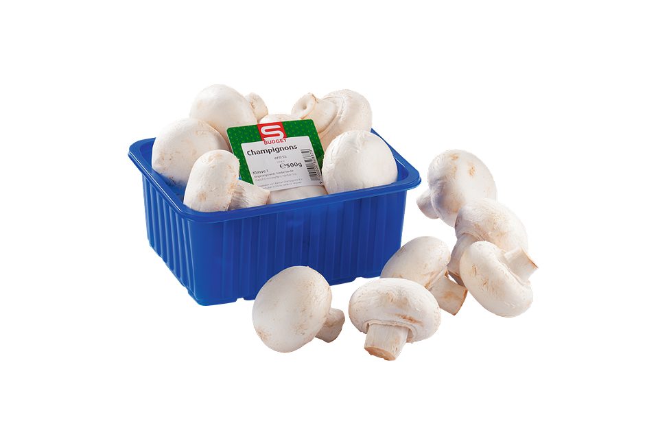 S-BUDGET Champignons weiß 500 G