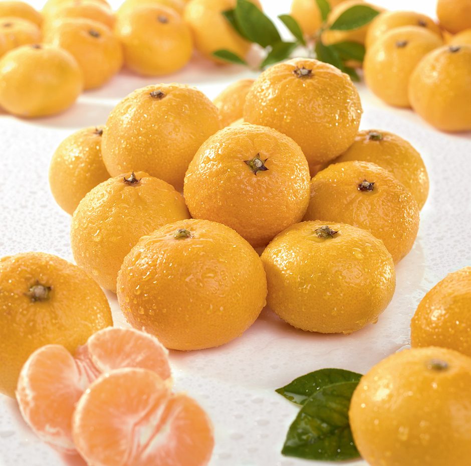 SPAR Satsumas 1kg 1 KG