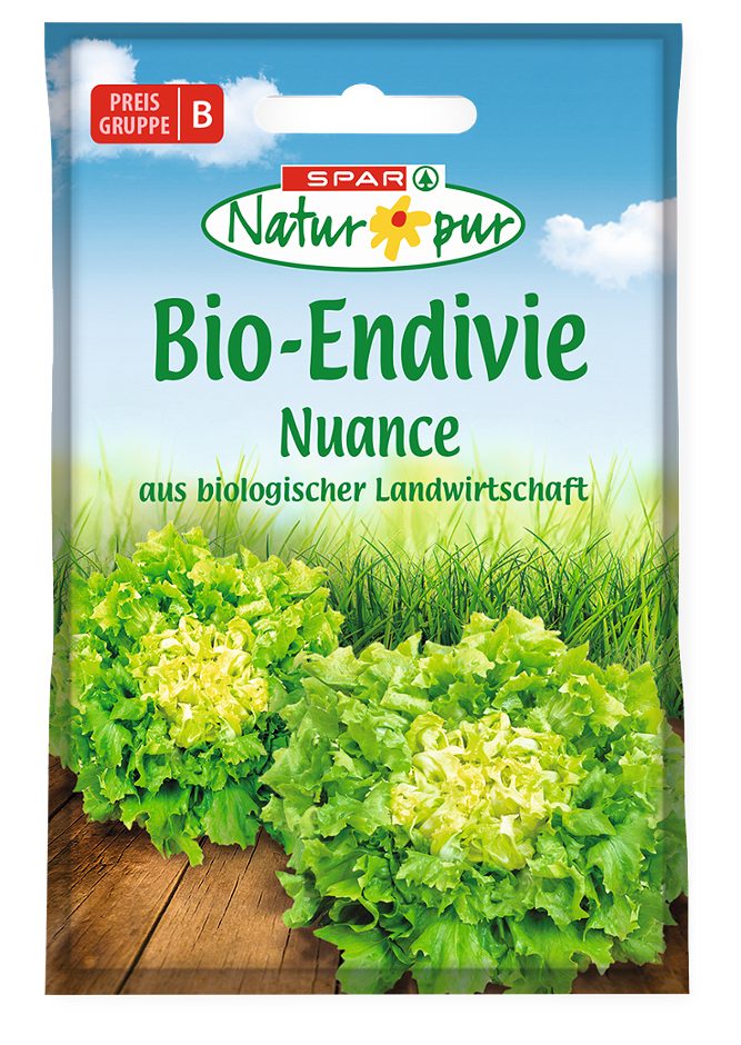 SPAR Natur*pur Saatgut Bio-Endivie Grosse Pancalière