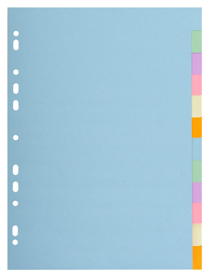Register A4 12 Farben Forever Pastell sort