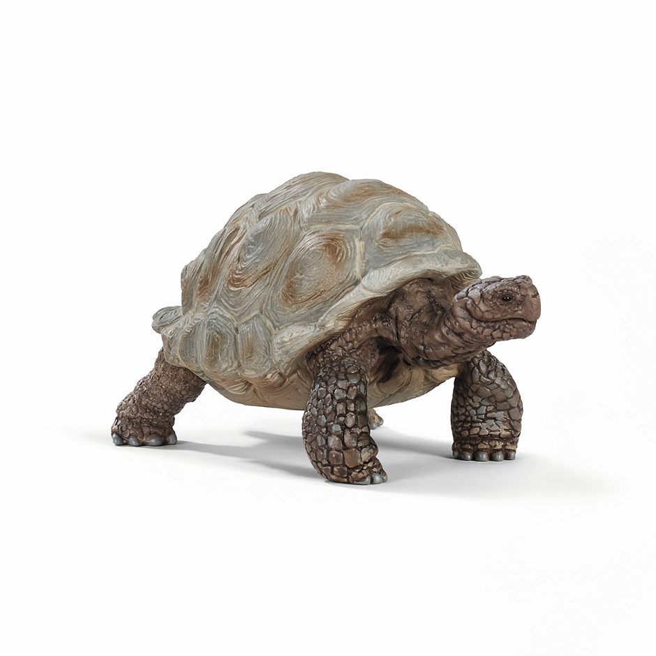 Schleich Wild Life Riesenschildkröte 14824