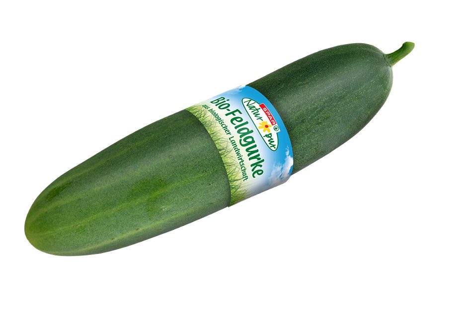 SPAR Natur*pur Bio-Feldgurke 1 STK