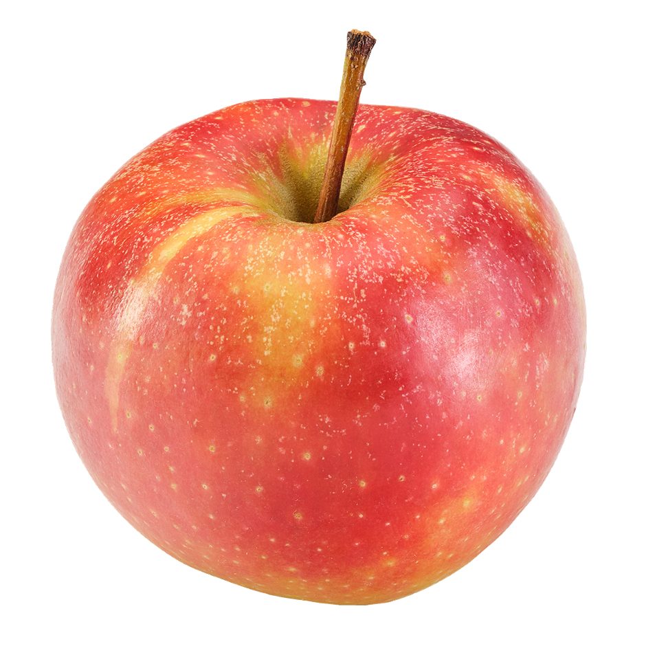 Apfel Elstar    gel.