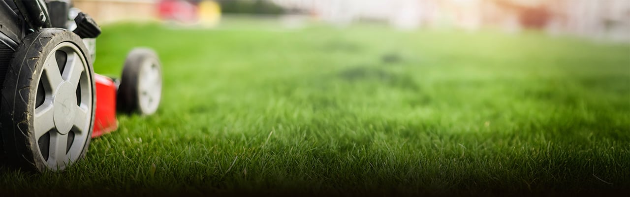 Header_Rasenpflege.jpg