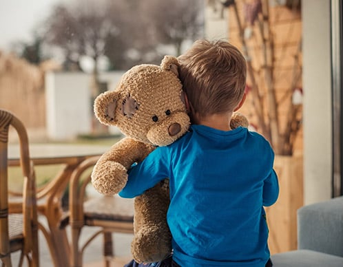 Teddy_Teaser_498x388.jpg
