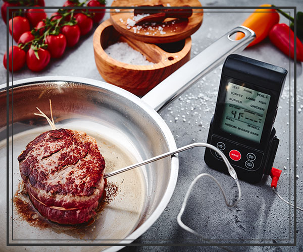 Steak Thermometer