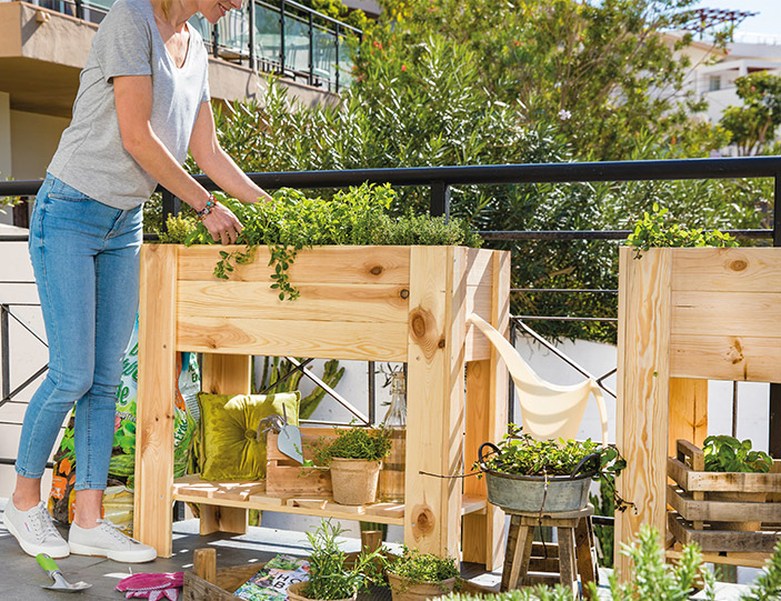 mein garten zuhause richtig anpflanzen interspar onlineshop haushalt freizeit
