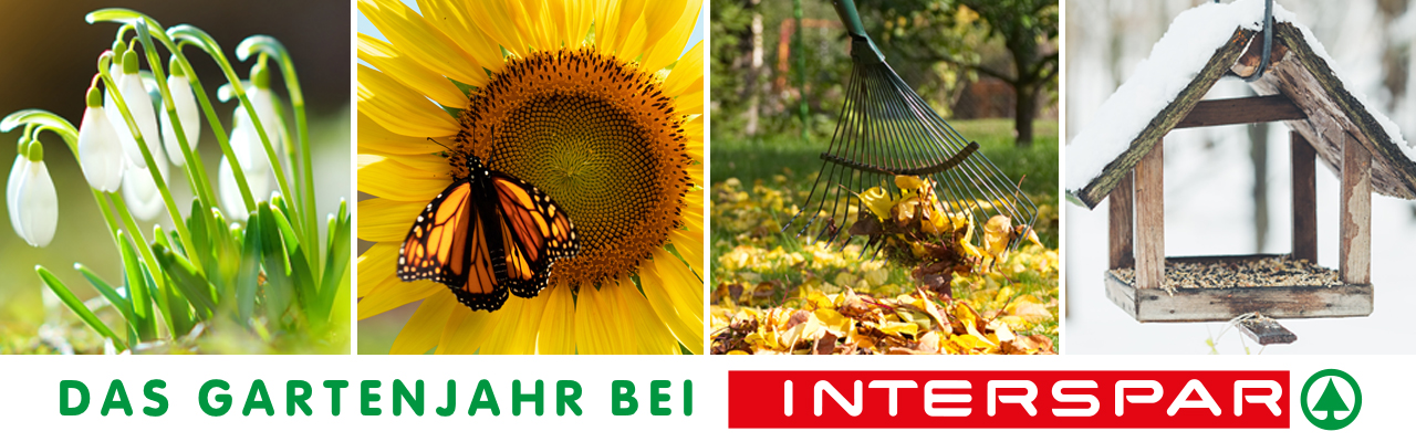 Headerbanner_Gartenjahr_ISP.jpg