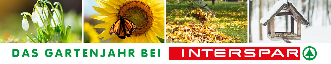 Gartenjahr_Banner-Verteilerseite.jpg