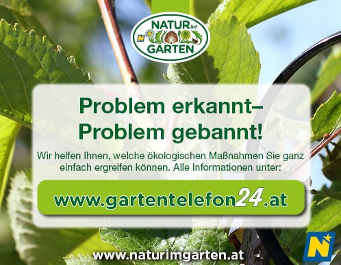 Banner Interspar gartentelefon243_498x388.jpg