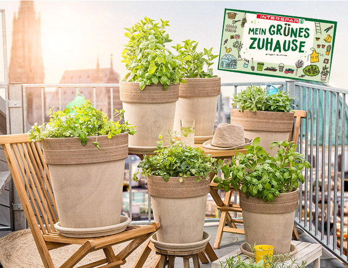mein garten zuhause richtig anpflanzen interspar onlineshop haushalt freizeit