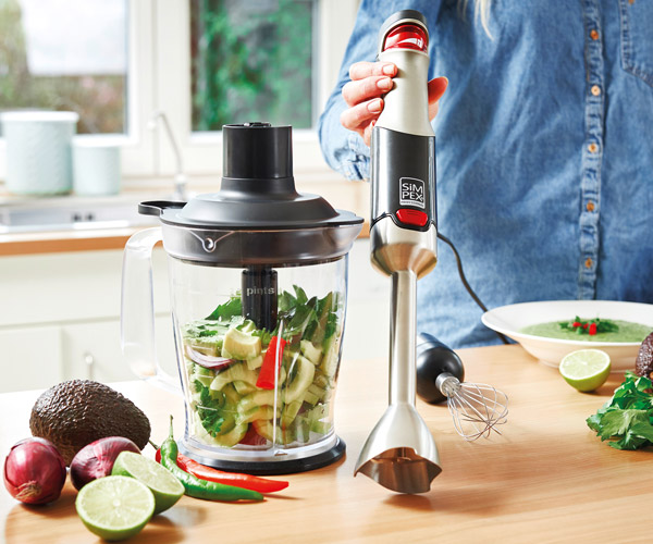 SIMPEX Professional Stabmixer-Set