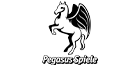 Pegasus Spiele
