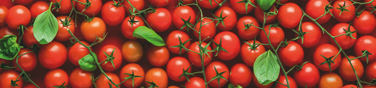 zwischenbanner_wusstensieschon_tomate_1280x300