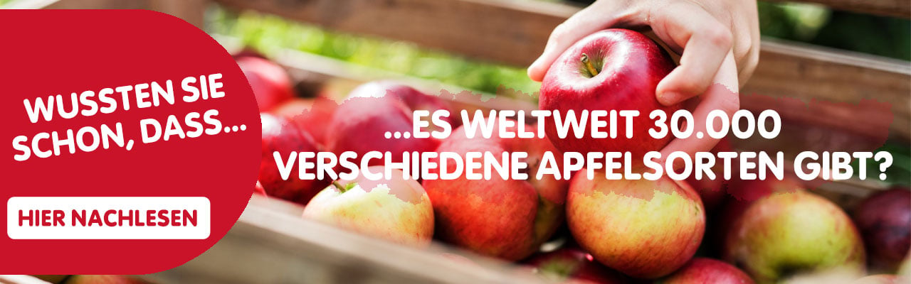 banner_wusstensieschon_apfel_1280x400.jpg
