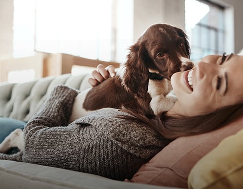 Wie erkennt man gutes Hundefutter?