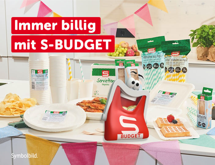 2026KW35-SBudget-mobil-b1.jpg