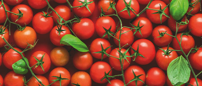 zwischenbanner_wusstensieschon_tomate_703x300