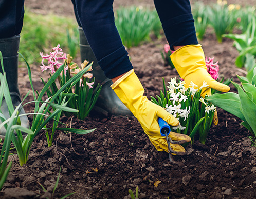 Gartenarbeiten im Frühjahr