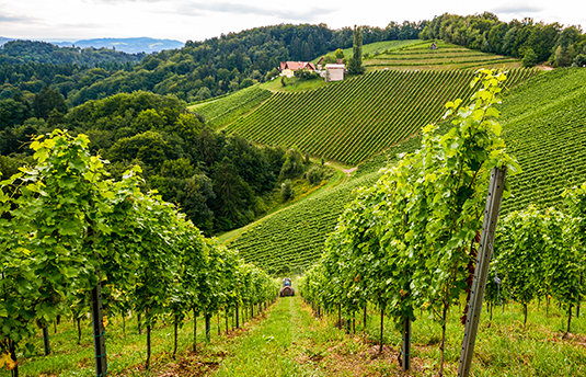 Landschaft Österreich.jpg