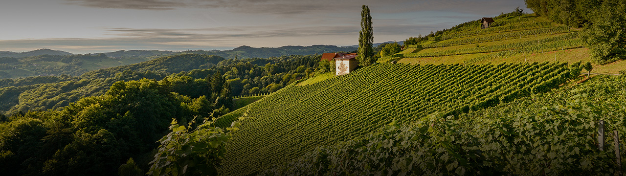Steiermark.jpg Steiermark.jpg