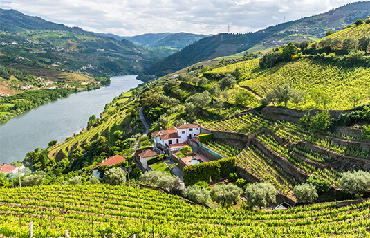 komp-portugal.jpg