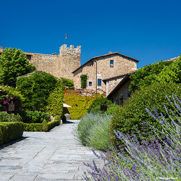 Journal_Brunello_Banfi_600x600.jpg
