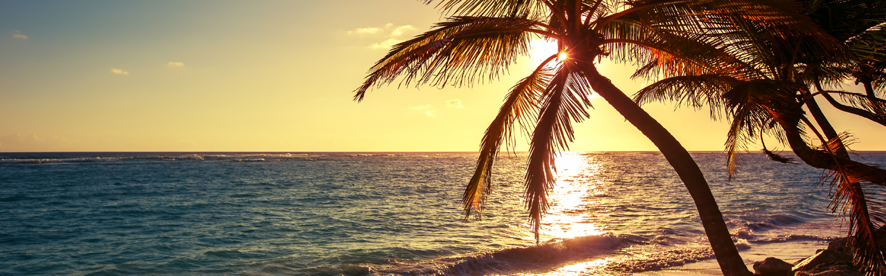 Buddel_Rum_Teaser_1_breit_1280x400.jpg