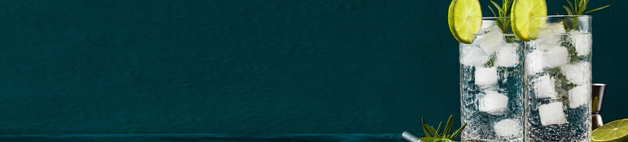 Gin-Kategoriebanner-WW.jpg