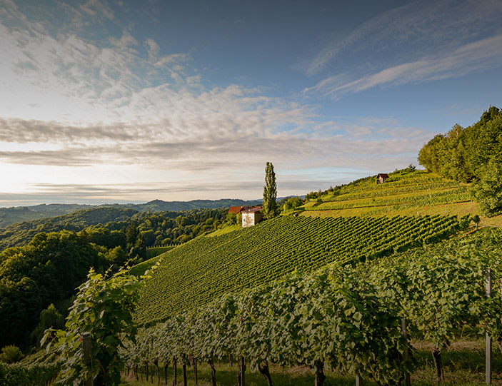 Genussreise Steiermark