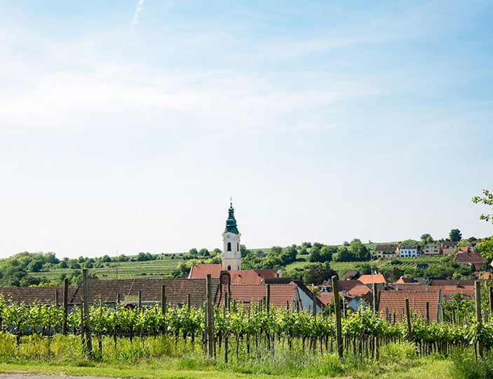 Gebietswein - Ortswein - Riedenwein