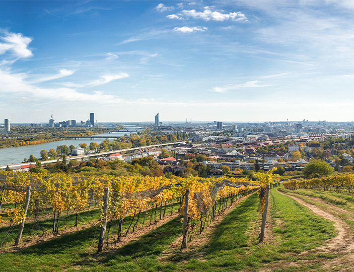Feldausblick auf eine Stadt.jpg