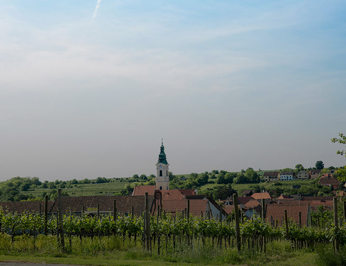 Gebietswein - Ortswein - Riedenwein