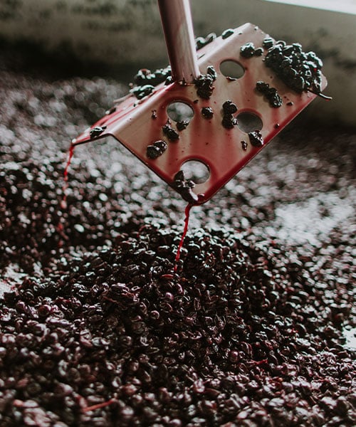Maische_Rotwein_500x600.jpg