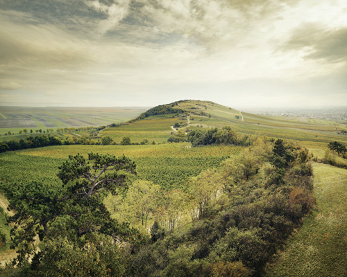 leithaberg_jungerberg-hackelsberg_500x400.jpg