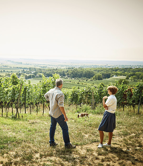 Leithaberg Burgenland