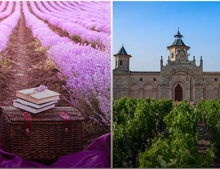 Provence und Bordeaux im Vergleich