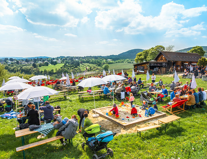 Fest am Bauernhof mit spielenden Kindern.jpg