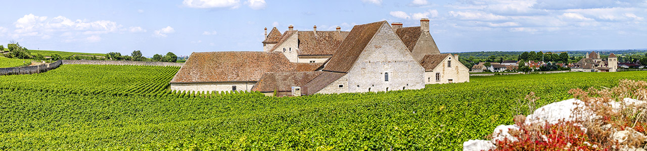 Platzhalter_Burgunder_1280x300.jpg