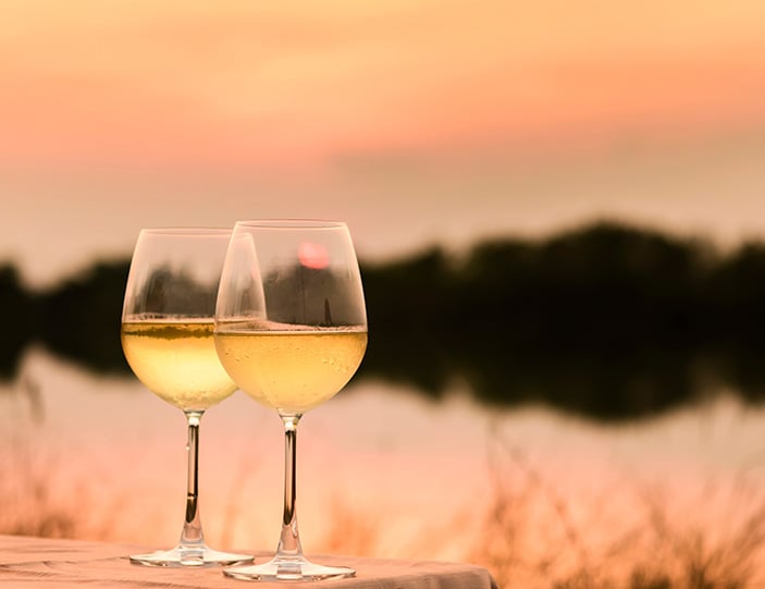 Roter Veltliner_Header_Mobile.jpg