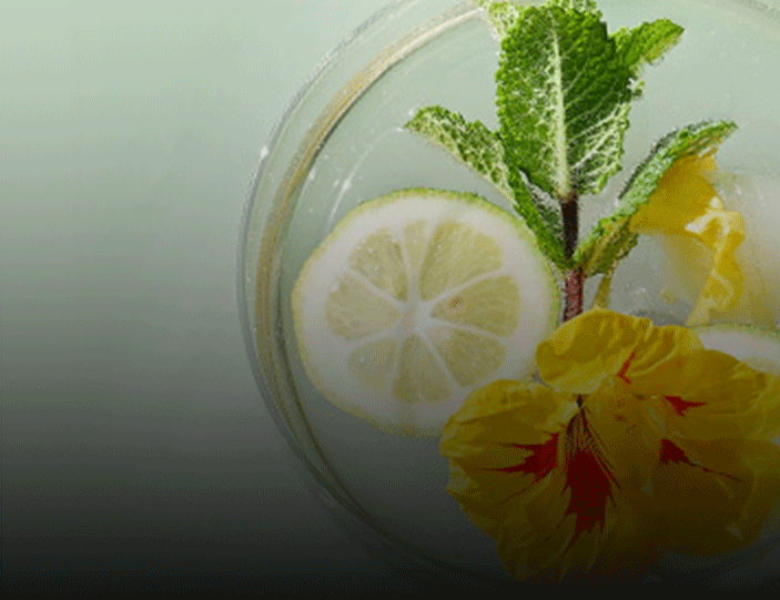 Teaser-Aperitif-Banner.gif