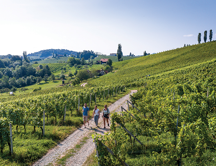 Weinwandern-Mobile-Banner.jpg
