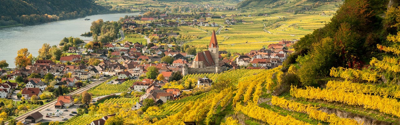Riesling_Teaser_breit_1280x400.jpg