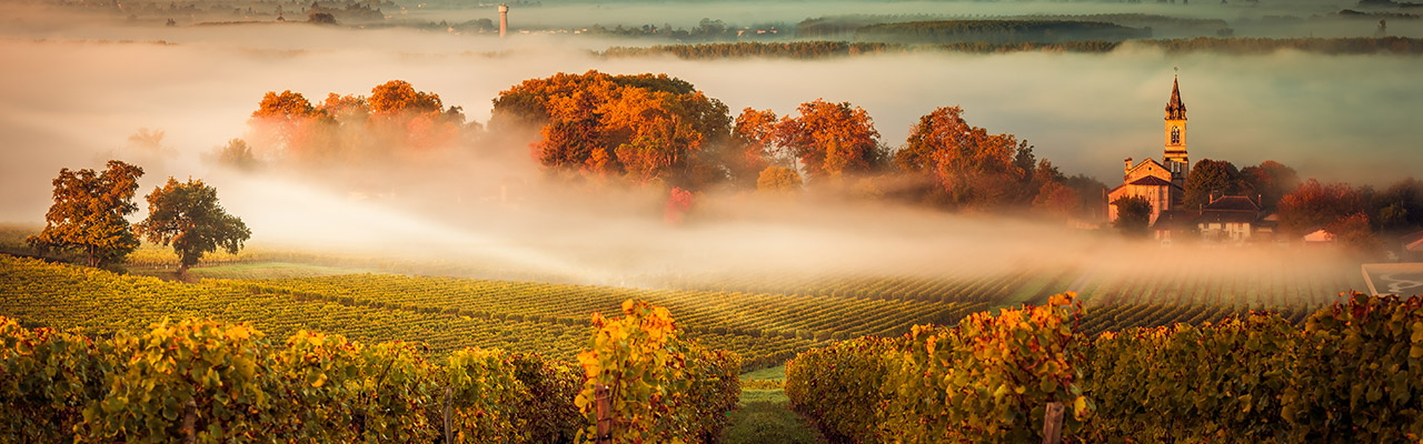 Header_1280x400.jpg