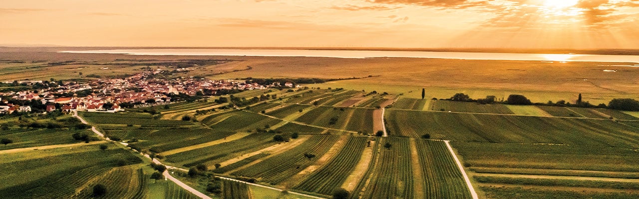Titelbild_Zweigelt_1280x400.jpg