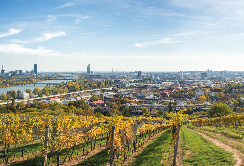 Wien mit Weinberge