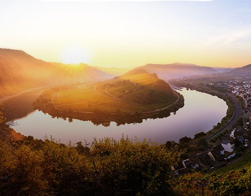 Riesling aus der Wachau