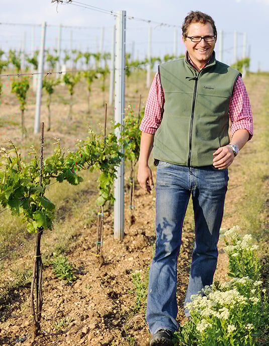 pinot-noir2.jpg