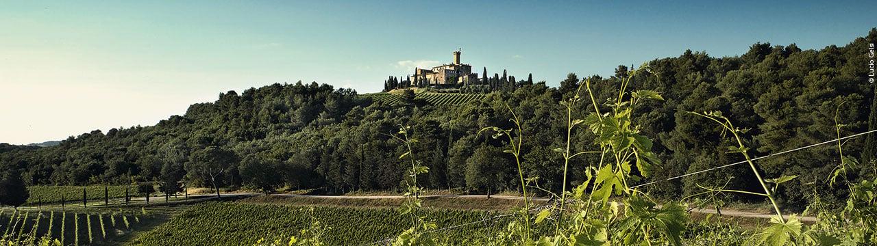 Journal_Brunello_Banner_1280x360.jpg